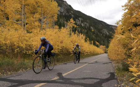 Fall foliage colors muted in several regions due to drought
