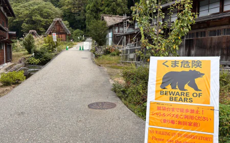 Bear injures 2 in Japanese grocery store, man killed in separate attack