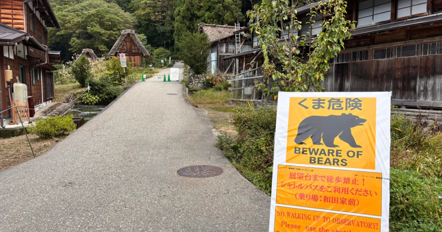 Bear injures 2 in Japanese grocery store, man killed in separate attack